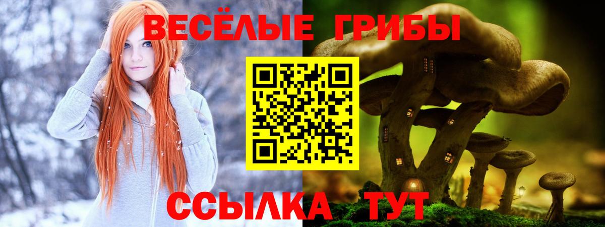 Нурлат  Галлюциногенные грибы Magic Shrooms  Вход с VPN  Галлюциногенные грибы GOLDEN TEACHER 